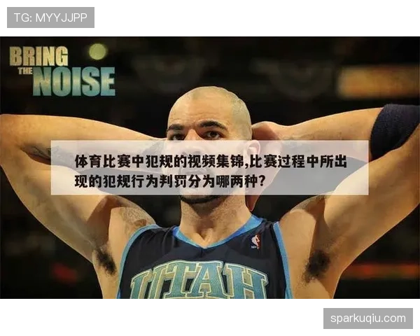 技术犯规和违体犯规有何本质区别? 技术犯规和违体犯规有何本质区别?