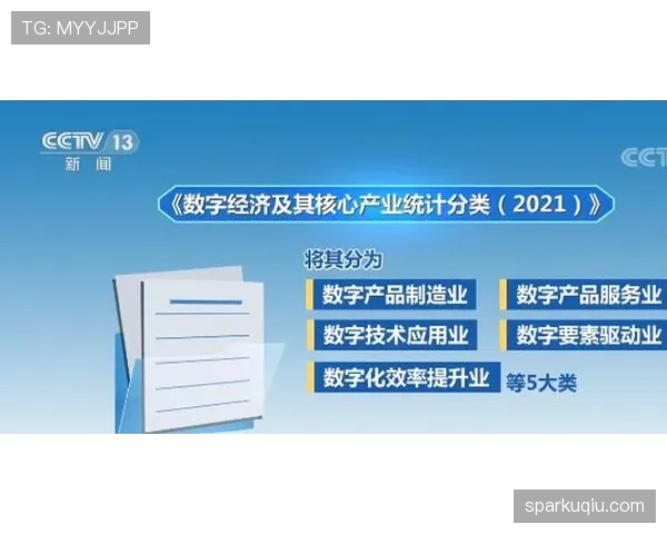深入解析合理冲撞区规则的判定标准与适用范围