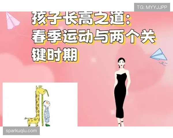 篮球暂停规则解析：比赛关键时刻的正确使用方式