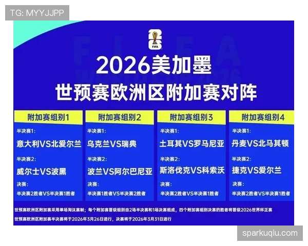 波黑能否在2026世界杯预选赛突围重现2014辉煌