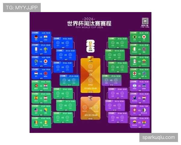 南非队比赛信息：淘汰赛首轮资料汇总